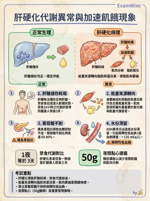 營養 - 肝膽疾病 - AI 圖文解析預覽