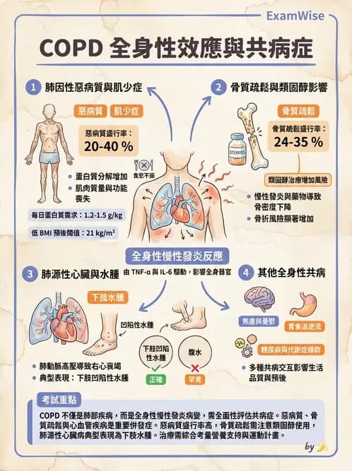 營養 - 呼吸系統疾病 - AI 圖文解析預覽