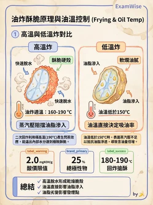 營養 - 烹調技法、油脂品質與供應管理 - AI 圖文解析預覽