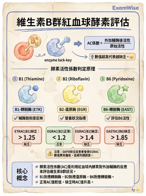 營養 - 生化指標與營養缺乏 - AI 圖文解析預覽