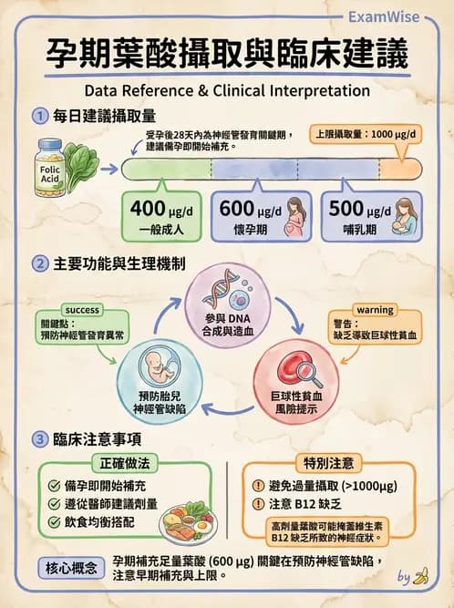 營養 - DRIs與飲食指南 - AI 圖文解析預覽