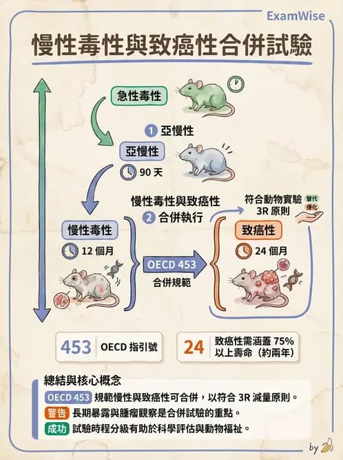 營養 - 食品安全性評估 - AI 圖文解析預覽