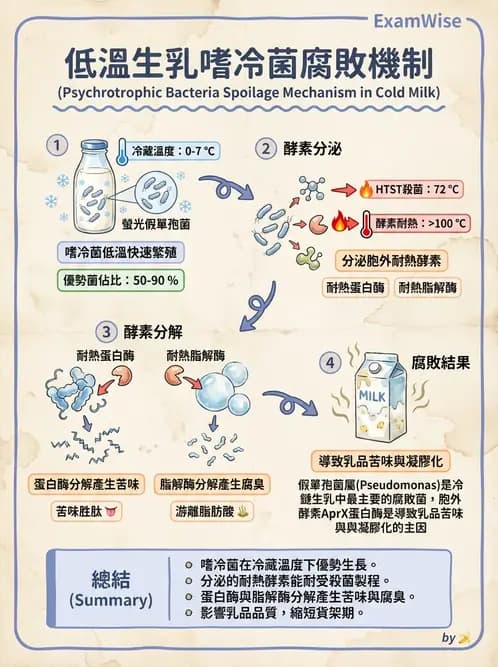 營養 - 食品腐敗微生物學 - AI 圖文解析預覽