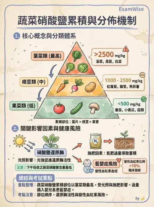 營養 - 化學性危害 - AI 圖文解析預覽