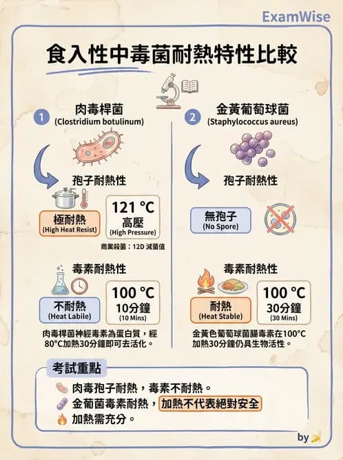 營養 - 食源性病原微生物 - AI 圖文解析預覽