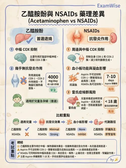 專師 - 敗血症與發燒通論 - AI 圖文解析預覽