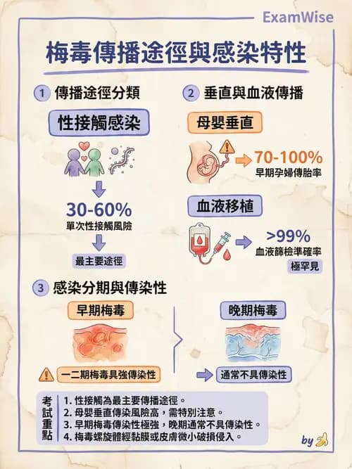 專師 - 性傳播感染 - AI 圖文解析預覽