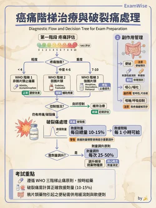 專師 - 安寧緩和與臨終照護 - AI 圖文解析預覽