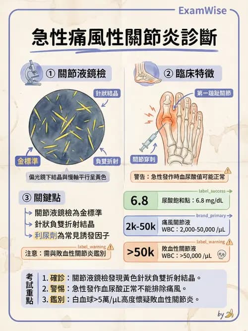 專師 - 風濕免疫疾病 - AI 圖文解析預覽