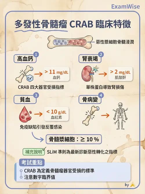 專師 - 肺癌與消化道癌 - AI 圖文解析預覽