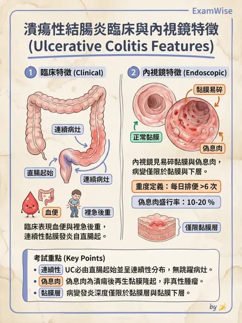 專師 - 腸道疾病與肛門直腸 - AI 圖文解析預覽