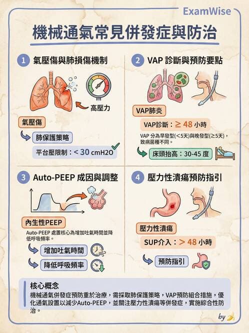 專師 - 呼吸治療與ABG - AI 圖文解析預覽