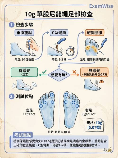 專師 - 糖尿病併發症與照護 - AI 圖文解析預覽