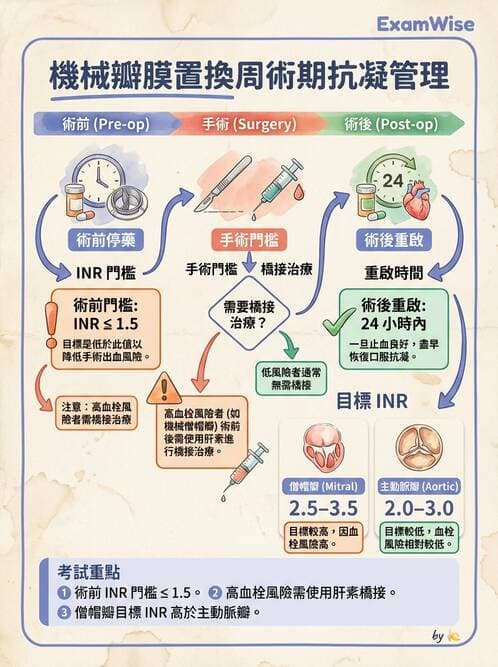 專師 - 心臟外科與介入 - AI 圖文解析預覽