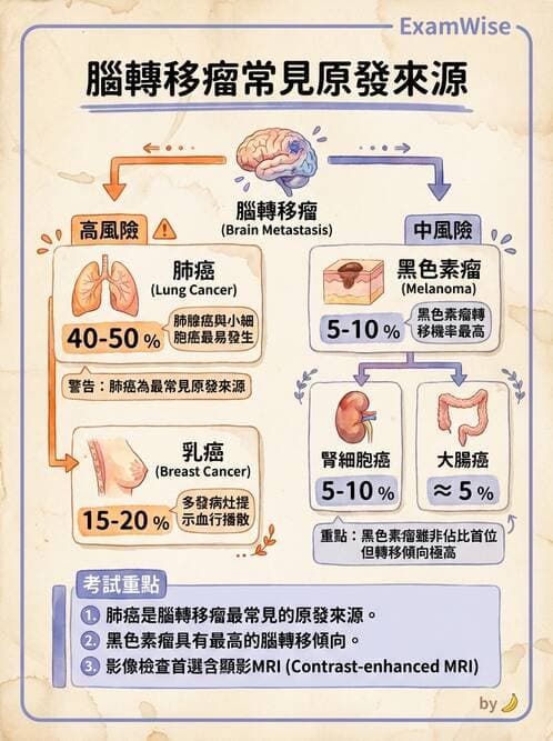 專師 - 肺癌與消化道癌 - AI 圖文解析預覽