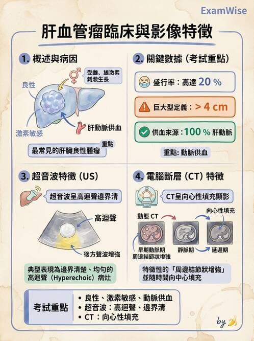 專師 - 肝腫瘤與肝臟手術 - AI 圖文解析預覽