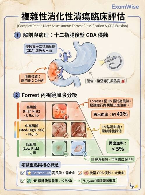 專師 - 上消化道與減重外科 - AI 圖文解析預覽