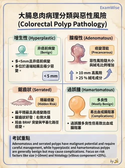 專師 - 大腸直腸癌與息肉 - AI 圖文解析預覽