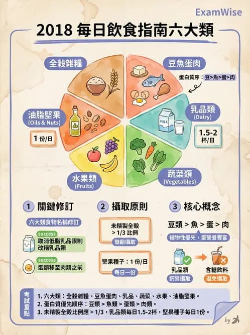 營養 - 當代營養學相關議題 - AI 圖文解析預覽