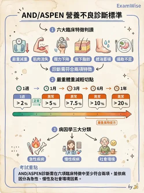 營養 - 營養評估與照護程序 - AI 圖文解析預覽