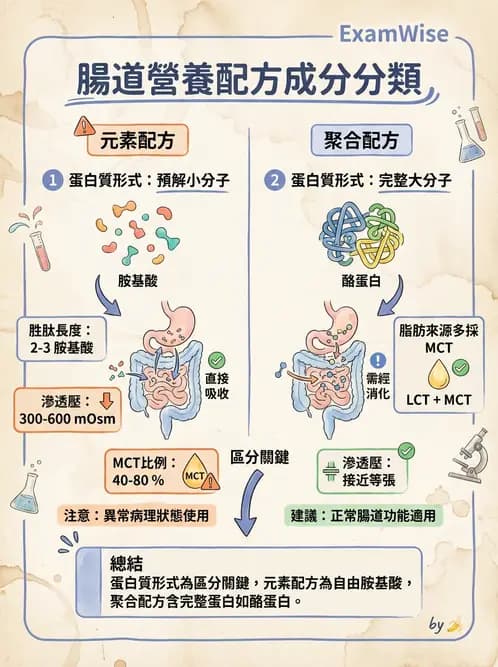 營養 - 營養支持 - AI 圖文解析預覽