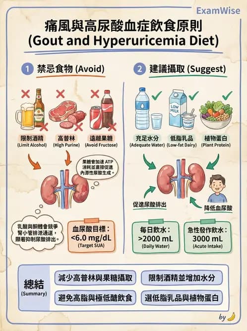 營養 - 骨骼與關節疾病 - AI 圖文解析預覽
