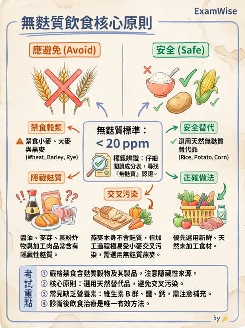 營養 - 腸胃道疾病 - AI 圖文解析預覽