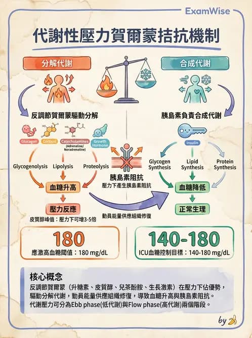 營養 - 重症一般營養照護 - AI 圖文解析預覽