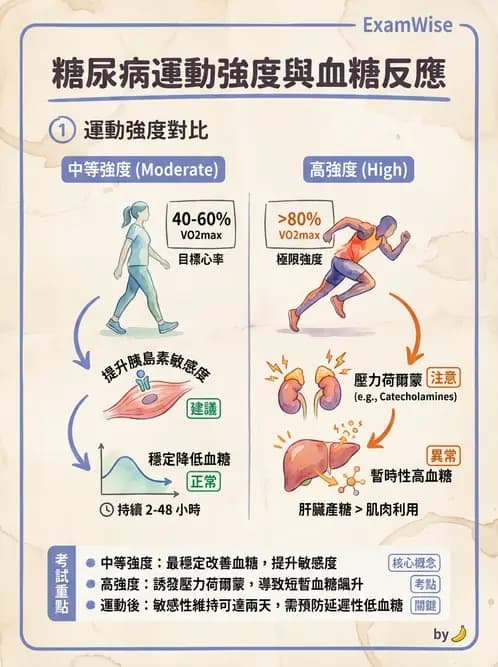營養 - 糖尿病與代謝症候群 - AI 圖文解析預覽