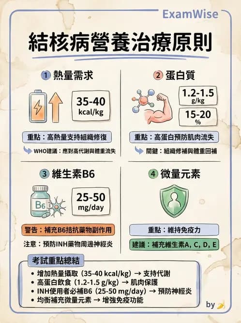 營養 - 呼吸系統疾病 - AI 圖文解析預覽