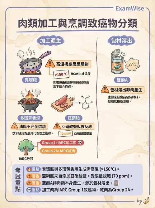 營養 - 癌症營養 - AI 圖文解析預覽