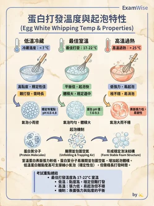 營養 - 動植物性食材製備原理 - AI 圖文解析預覽