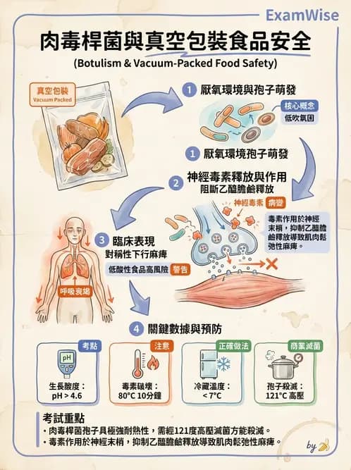 營養 - 食品安全衛生管理 - AI 圖文解析預覽