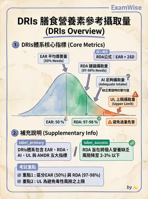 營養 - DRIs與飲食指南 - AI 圖文解析預覽
