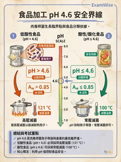 營養 - 食品腐敗微生物學 - AI 圖文解析預覽