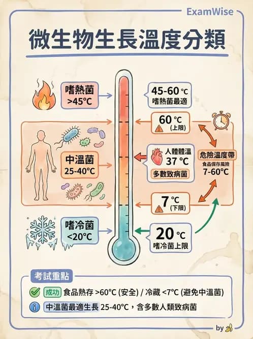 營養 - 食品腐敗微生物學 - AI 圖文解析預覽