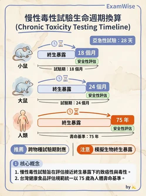 營養 - 食品安全性評估 - AI 圖文解析預覽