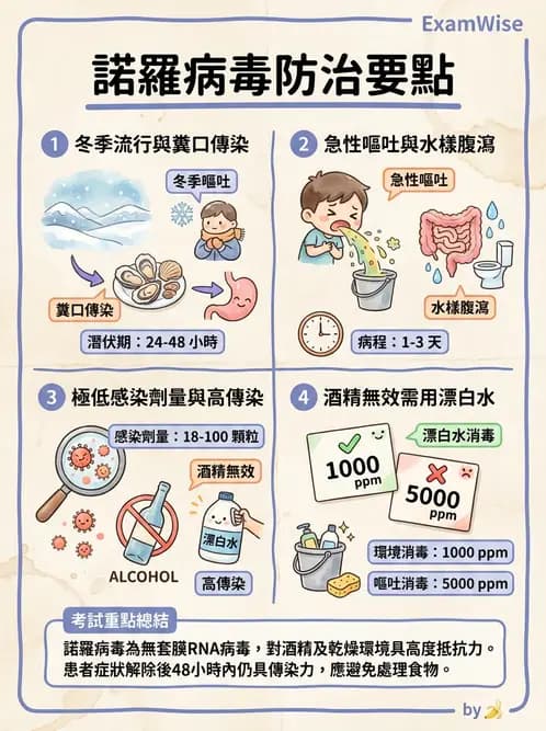 營養 - 食源性病原微生物 - AI 圖文解析預覽