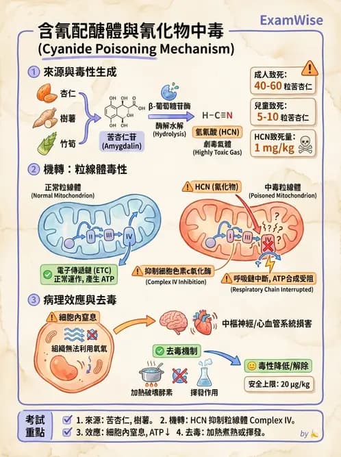 營養 - 天然毒素 - AI 圖文解析預覽