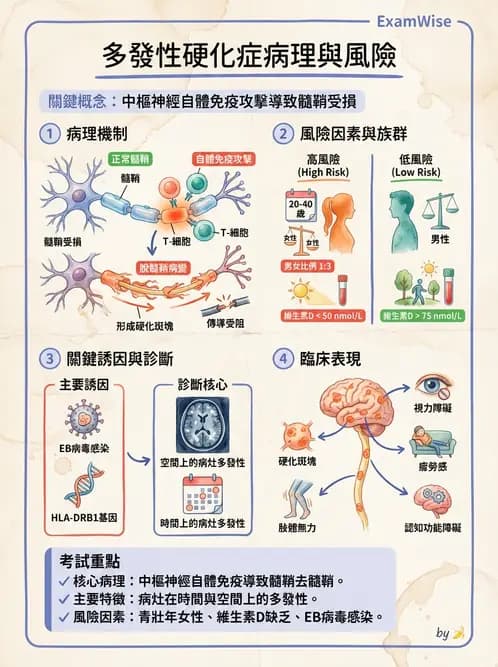 營養 - 血液與免疫 - AI 圖文解析預覽