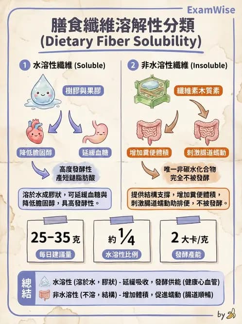 營養 - 醣類結構與膳食纖維 - AI 圖文解析預覽