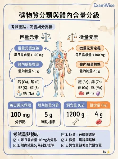 營養 - 鐵營養與貧血 - AI 圖文解析預覽