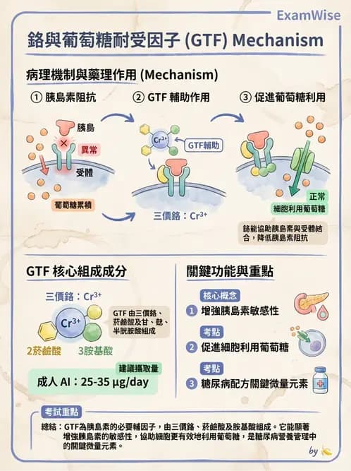 營養 - 氟、鉻及其他微量礦物質 - AI 圖文解析預覽