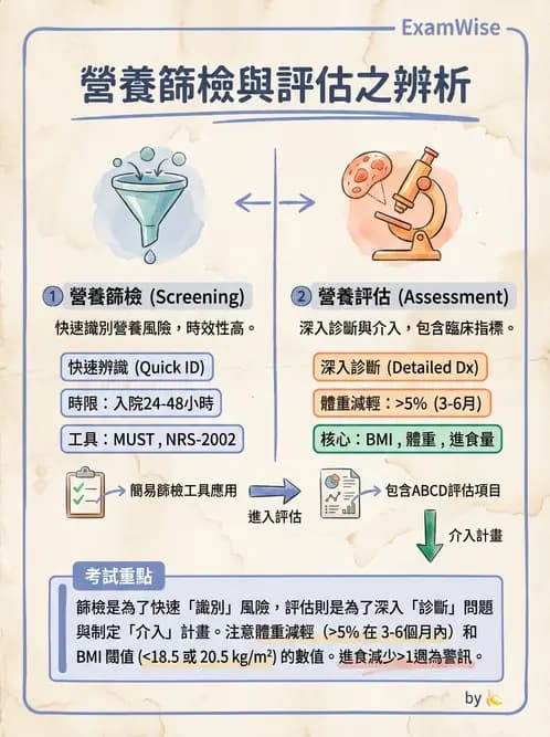 營養 - 營養評估與照護程序 - AI 圖文解析預覽