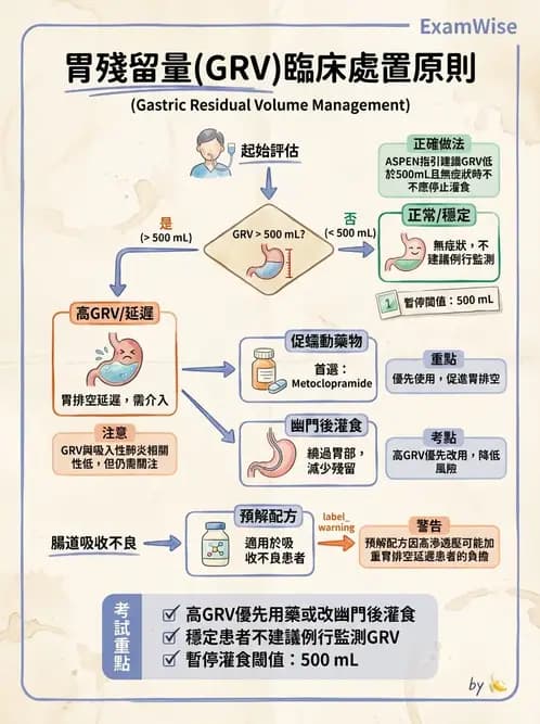 營養 - 營養支持 - AI 圖文解析預覽