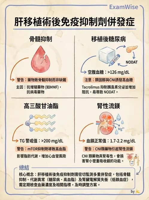 營養 - 肝膽疾病 - AI 圖文解析預覽