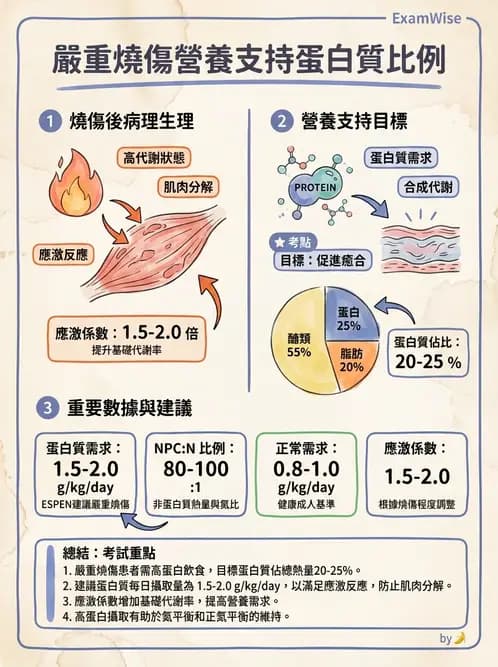 營養 - 燒燙傷與外傷重症營養 - AI 圖文解析預覽