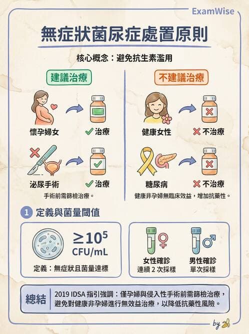 專師 - 泌尿道感染 - AI 圖文解析預覽