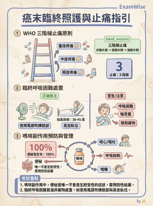 專師 - 安寧緩和與臨終照護 - AI 圖文解析預覽
