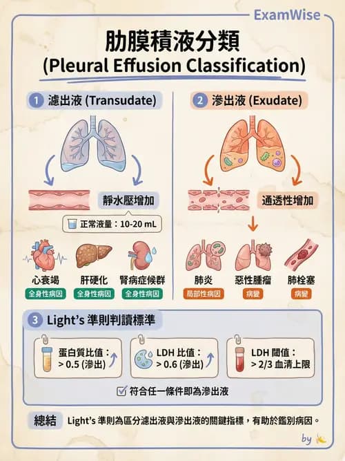 專師 - 肋膜疾病 - AI 圖文解析預覽